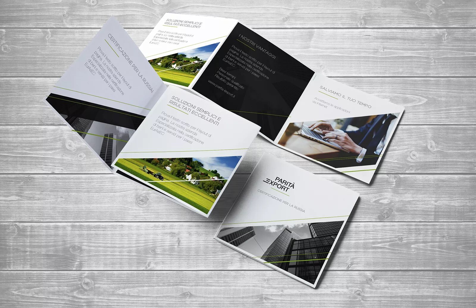 Portfolio company