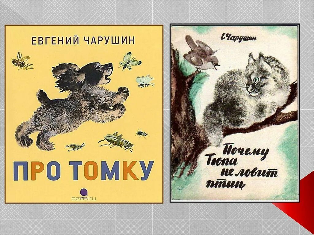 Сказки е и чарушина читать. Чарушин про Томку книга. Чтение: е.и. Чарушин « про Томку»..