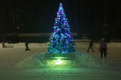Фаворит на варшавке 1 дорожный