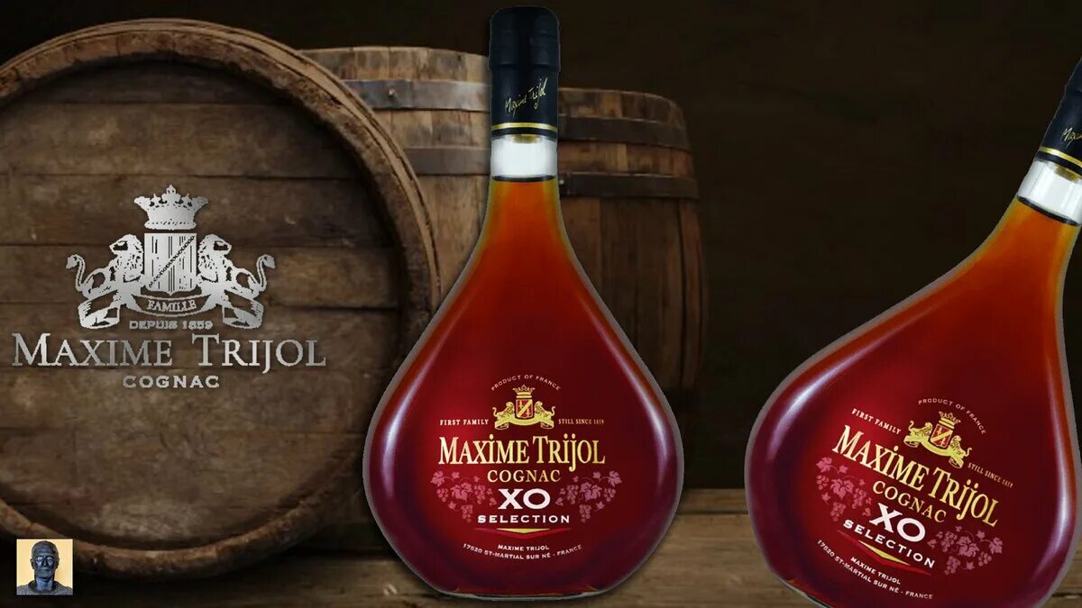 Maxime Trijol XO. Коньяк селиксьон Хо. 10 Летний коньяк французский. Brisson Cognac XO. Коньяк selection 0.5