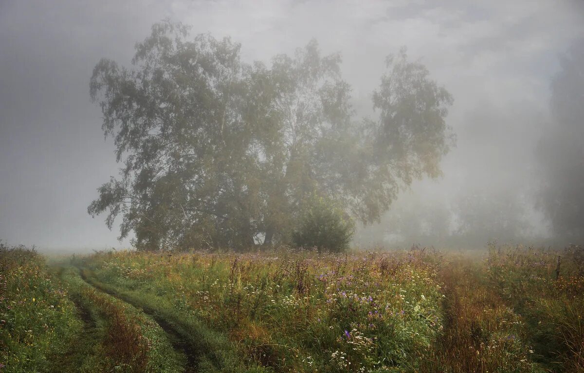 Русское поле. Грустная осень. Поздняя осень. Прохладное лето. Хмурое летнее утро.