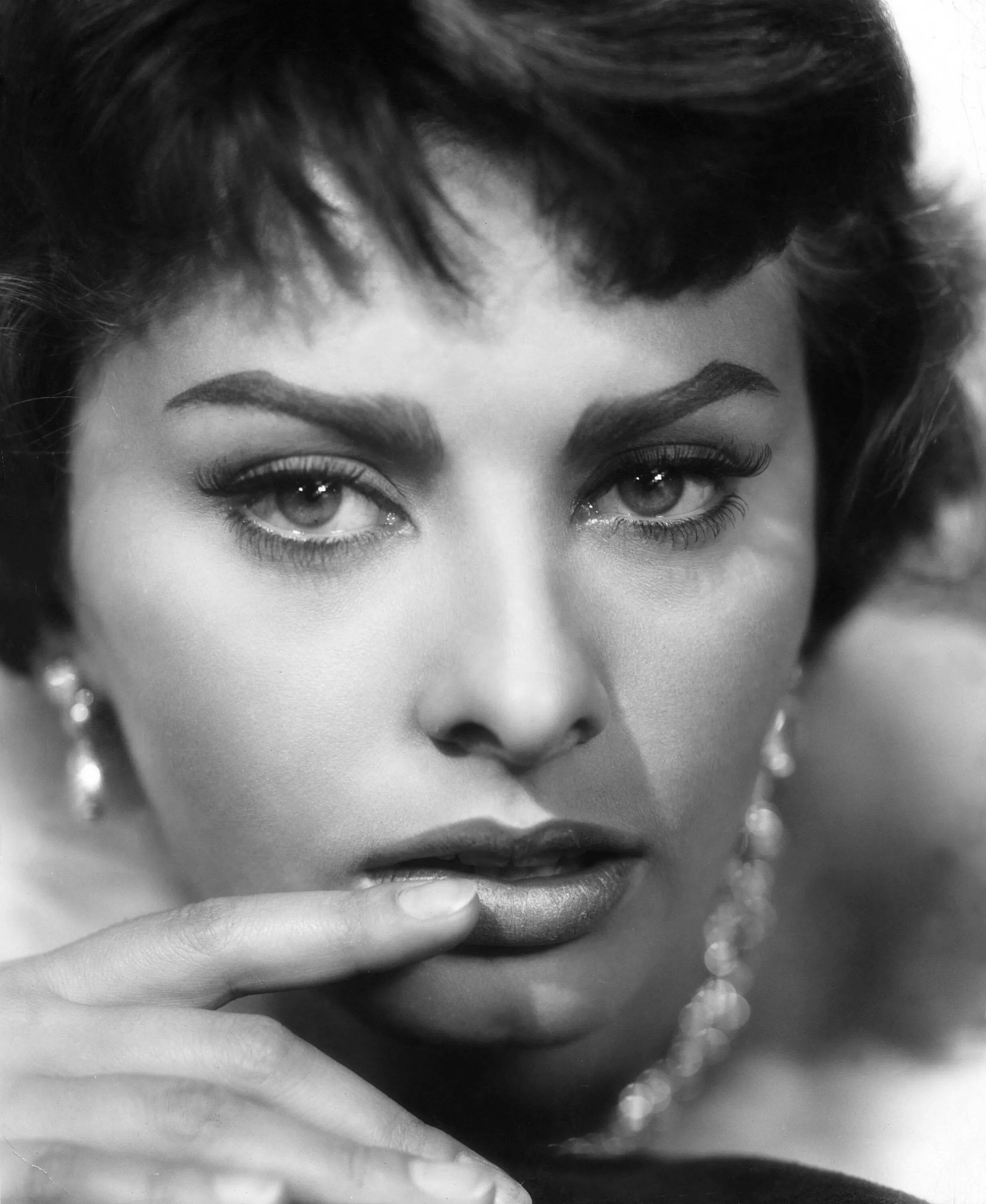 Итальянская актриса лорен. Итальянская актриса лорен. Итальянская актриса лорен. Софи лорен фото в молодости. Софи лорен.