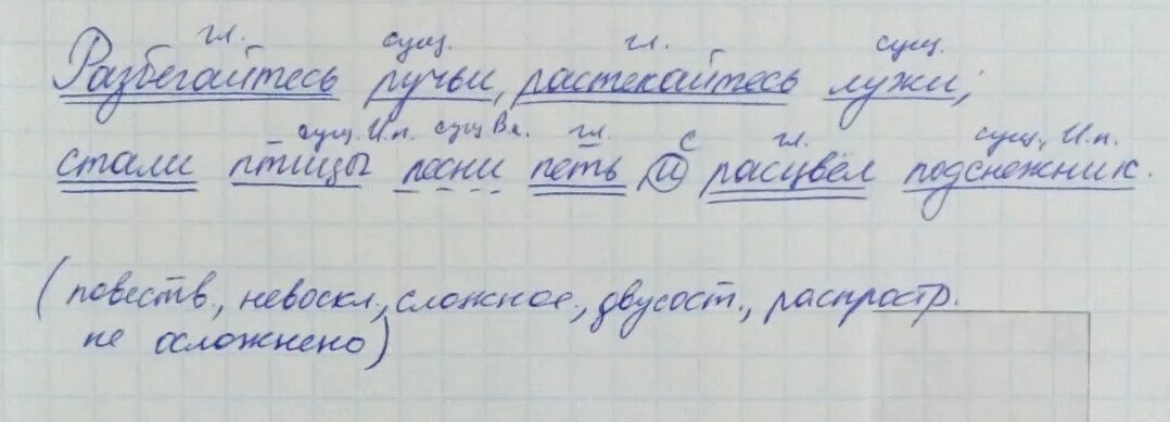 Синтаксический разбор птицы. Синтаксический разбор предложения в тетради. Синтаксический разбор простого предложения. Разбор предложения в тетради. Синтаксический анализ предложения пример.