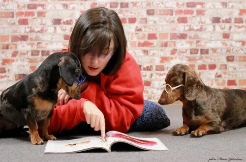 такса клякса. весёлая такса по имени. песня такса клякса. вакса клякса мелик пашаев. песня такса клякса.