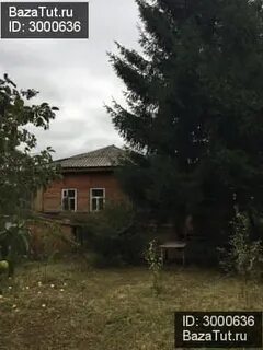 Авито плеханово
