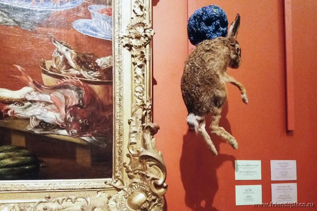 ян фабр выставка в эрмитаже. эрмитаж охраняют коты. ян фабр эрмитаж животные. эрмитаж животные. эрмитаж экспонаты.