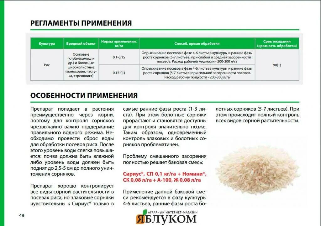 Когда лучше обрабатывать гербицидом
