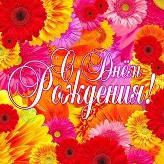 Яркие открытки картинки