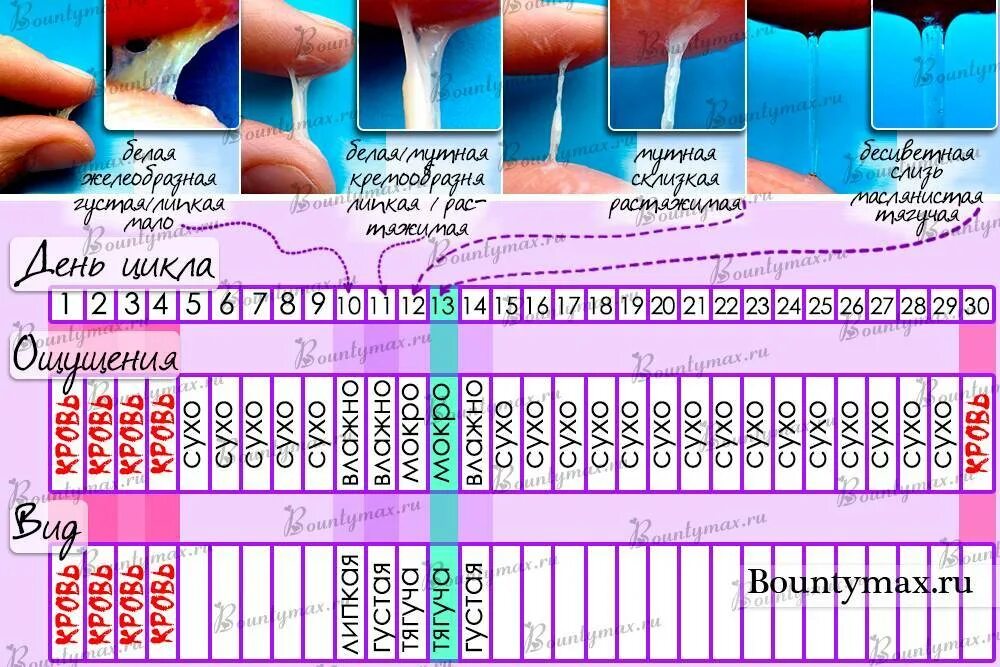 Через сколько дней можно зачать ребенка
