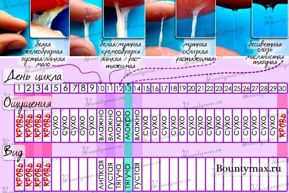 После полового акта через сколько можно забеременеть. Овуляция. Календарь овуляции. Как можно забеременеть. Когда можно забеременеть.