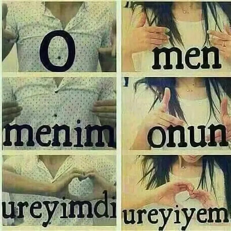 Men ir. Men ir. Canimsan. Menim. Men ir.