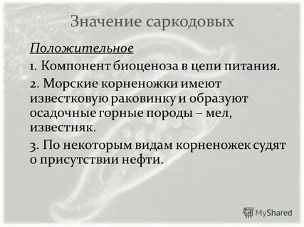 Какова роль простейших в жизни человека