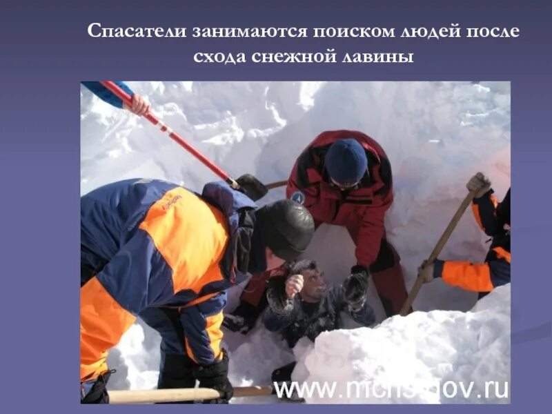Занимается поисками