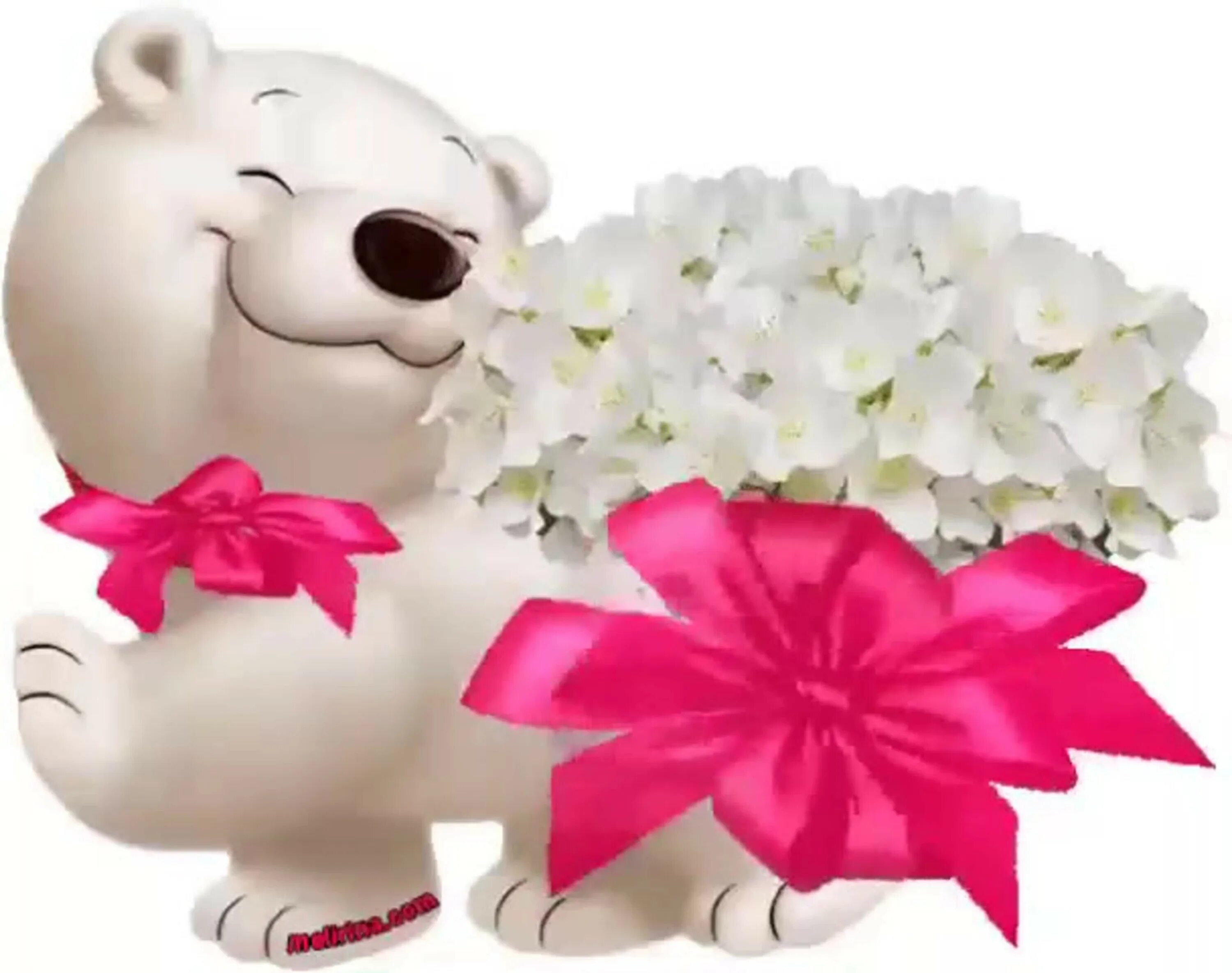Желаю задора. Медвежонок с цветами. Мишка с букетом цветов. Красивый Медвежонок с цветами. Мишка с цветочком.