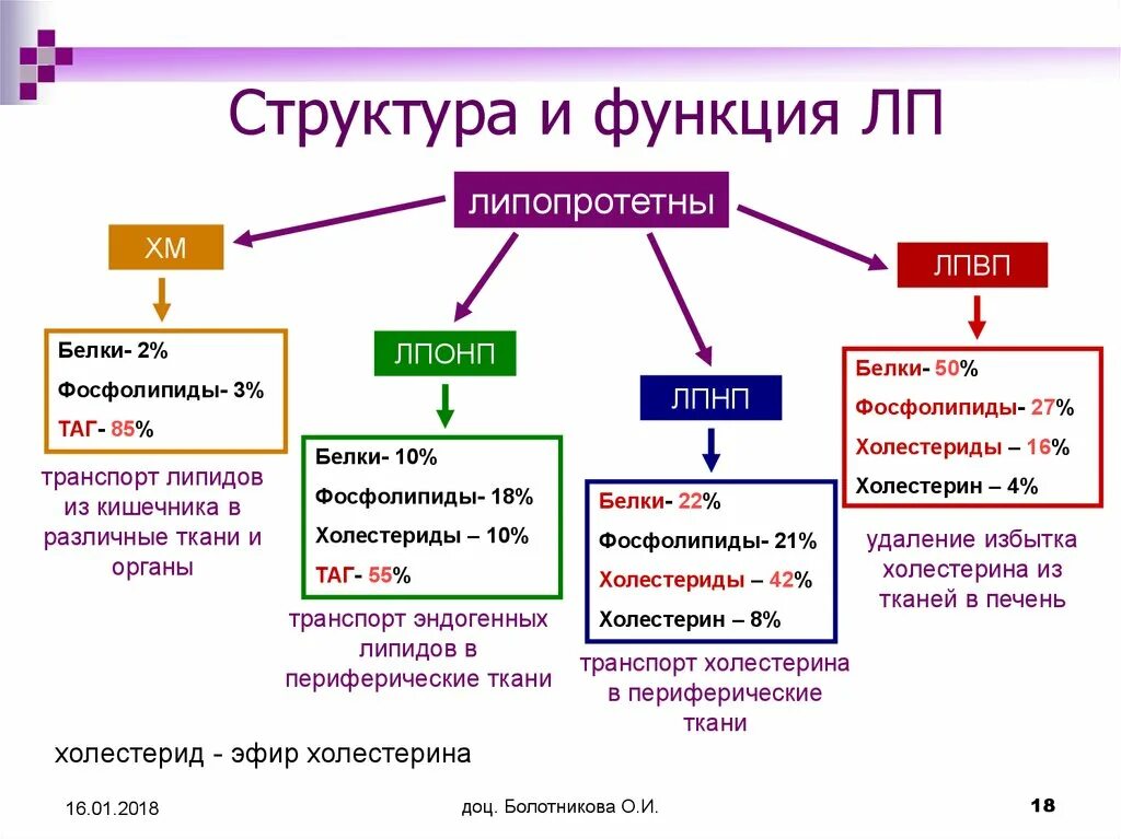 Основные липиды тканей человека. Липопротеины плазмы крови функции. Строение и биологическая роль липопротеинов крови. Липопротеиды низкой плотности строение. Липопротеины классификация биохимия.