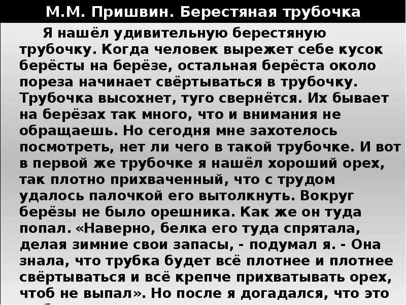 Текст берестяная трубочка. Пришвин берестяная трубочка. М М пришвин берестяная трубочка. Изложение берестенная берестяная трубочка. Трубочка читать