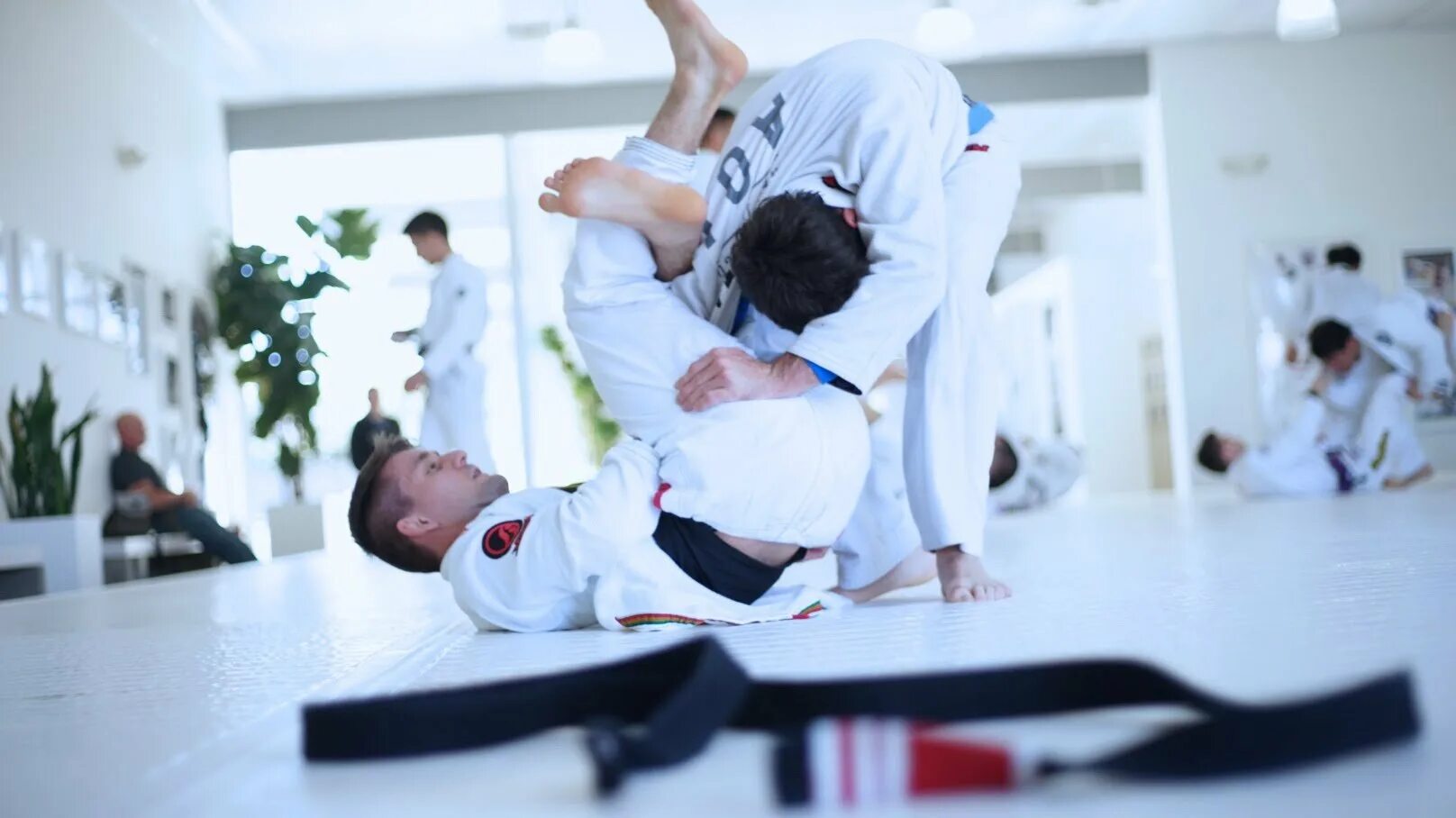 Jiu Jitsu Art. Бразильское джиу-джитсу Армлок. Икигай джиу-джитсу. Где джитсу