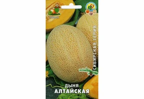 Дыня алтайская описание отзывы