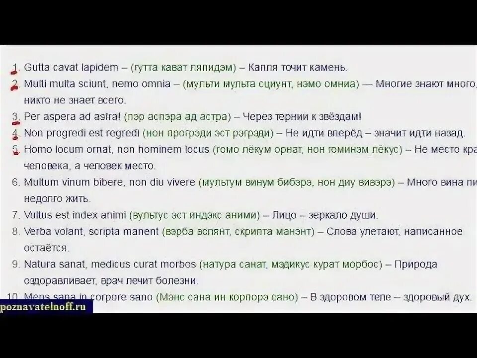 Поговорки на латыни с переводом. Латинские пословицы. Самые известные изречения на латыни с переводом. Пословицы на латыни. Латинские пословицы латинские.