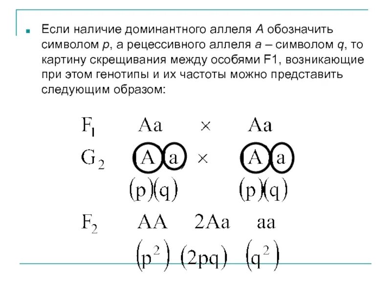 Задачи на определение частоты доминантного и рецессивного аллеля. Действие рецессивного аллеля. Популяционная генетика схема скрещивания поколений.