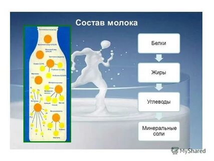 Хороший состав молока