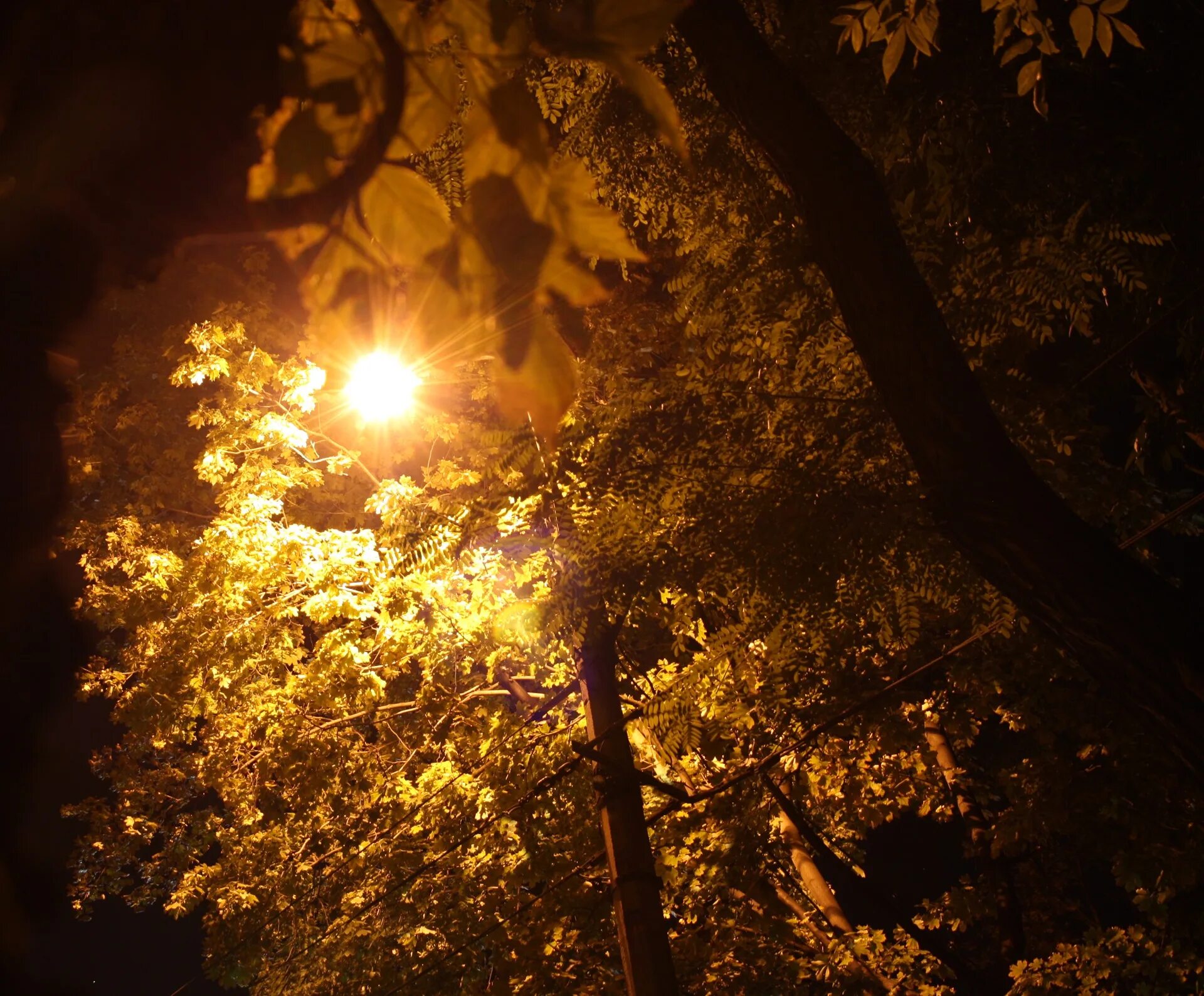 Ночные фонари купить. Круглый фонарь ночью. Ночной фонарь старый Оскол. Коктебель фонари ночью. Фото фонаря круглого ночь.