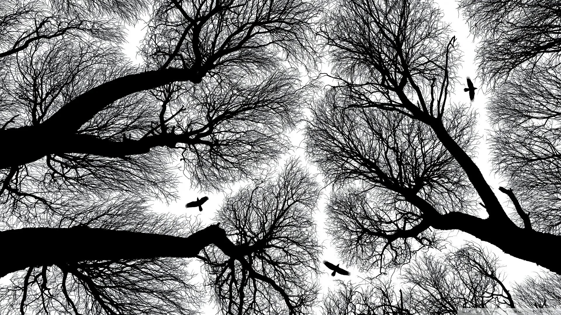 Виднеющееся очертание. Со спины в темноте. Одинокий парень на закате. Видно через одежду. Человек уходит в закат.