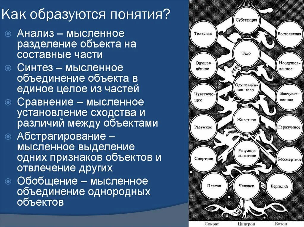 Но и такое понятие как. Но и такое понятие как