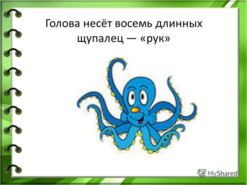 головоломка для осьминога. загадка про осьминога для детей. пазлы деревянные. стихи про морских обитателей. стих про медузу для детей.