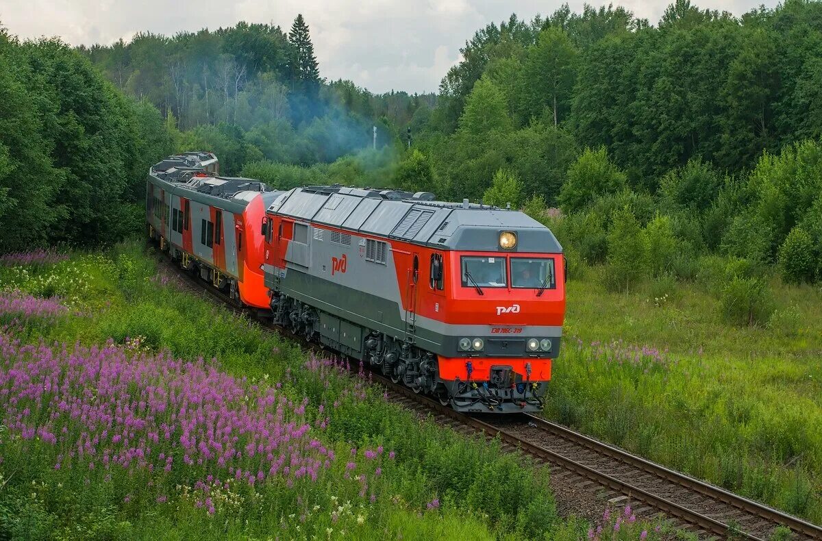 Trainpix org