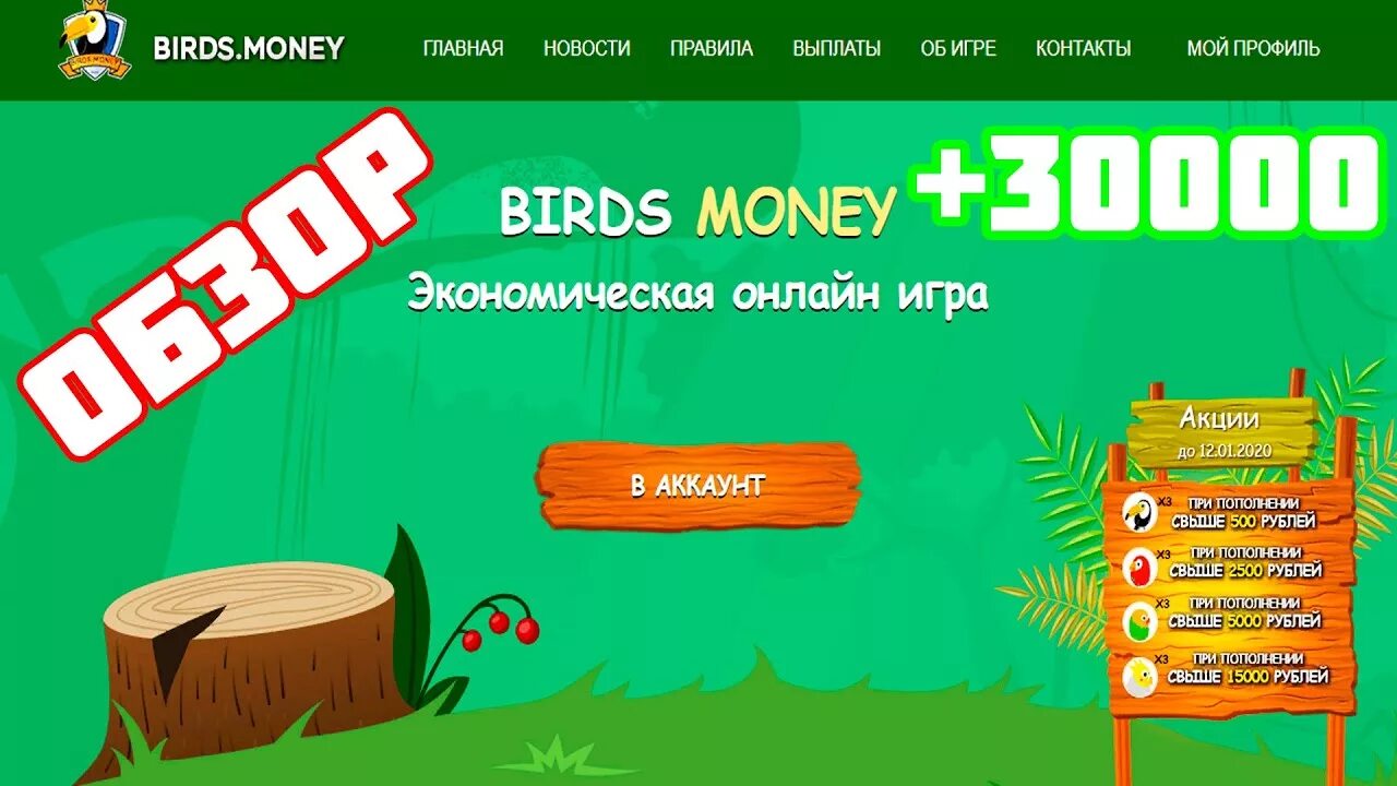 Игры без вложений с выводом 2024. Money Birds игра. Игры на реальные деньги без вложений. Игры для заработка денег без вложений с выводом. Игры без вложения средств.