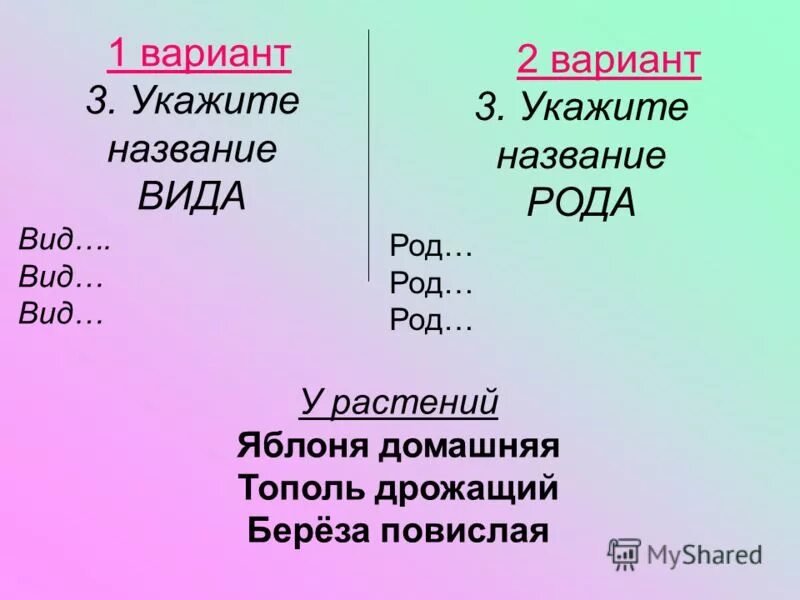 Указать название а также. Указать название а также