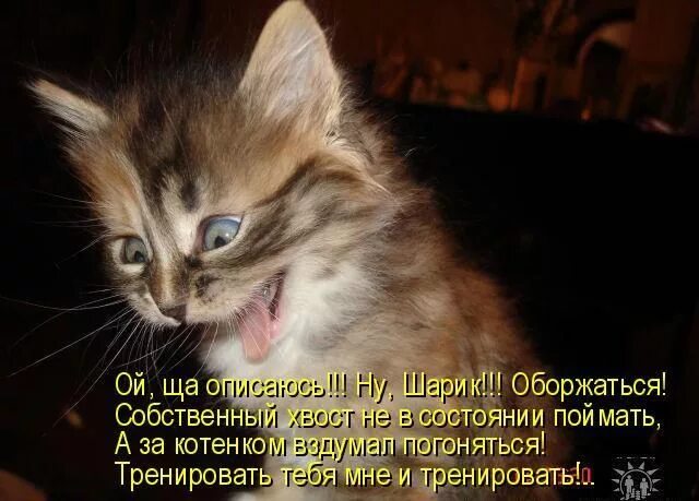 Удачно вошел