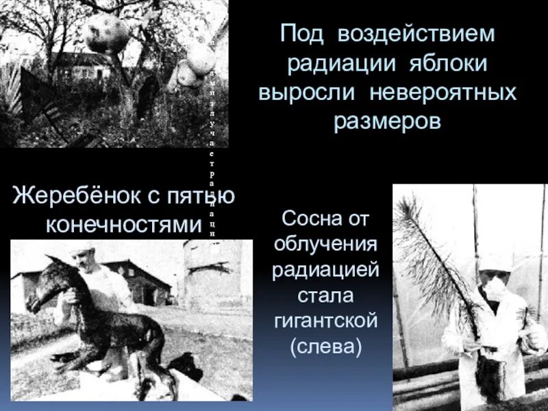 Как выглядит радиация. Как радиация попадает в организм. Радиация вчернобле люди. Последствия аварии на чернобыльской аэс для человека. Радиация в чернобыле.