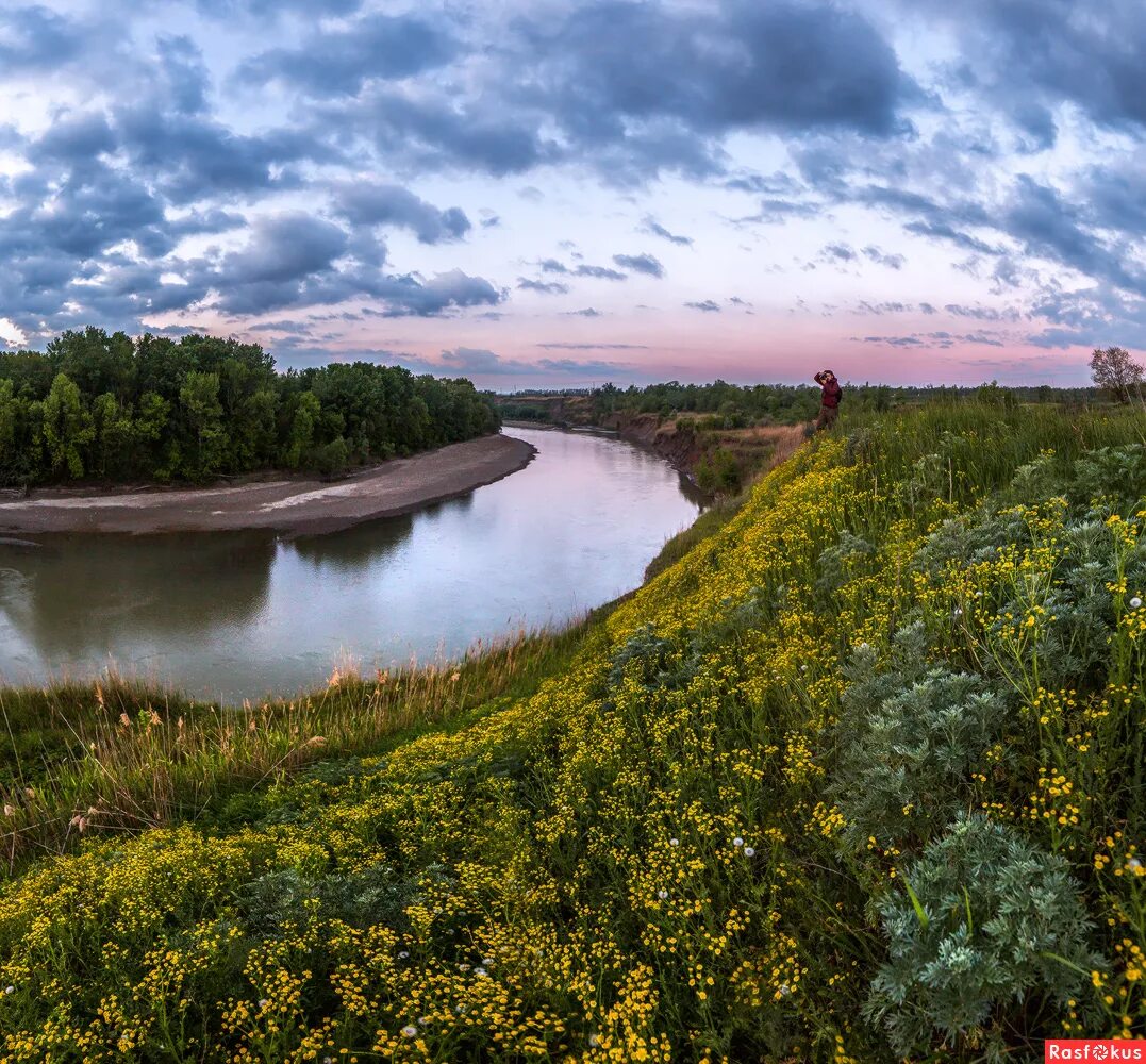 Ставрополь река Кубань. Река Кубань Краснодарский край. Природа река Кубань Краснодарский край. Река Кубань пейзажи Краснодарского края. Река без края