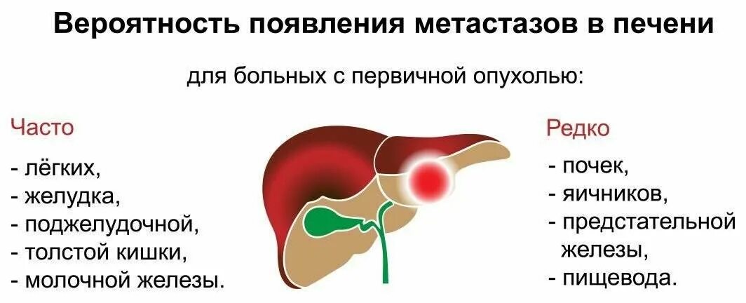 Метастазы в печени прогноз срока жизни. Метастатические опухоли печени.