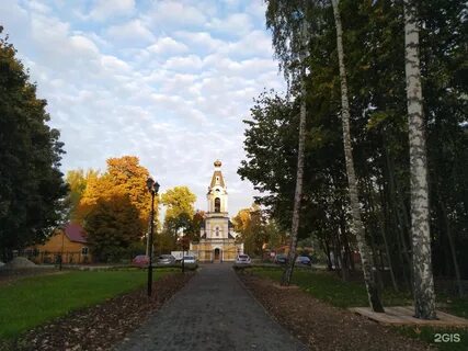 Архангельского тюрикова