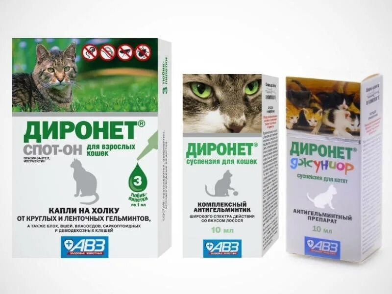 Что можно дать котенку от глистов. Препараты от глистов для кошек диронет. капли от глистов для котят диронет. таблетки от глистов для кошек диронет. диронет 200 для кошек 2 табл.
