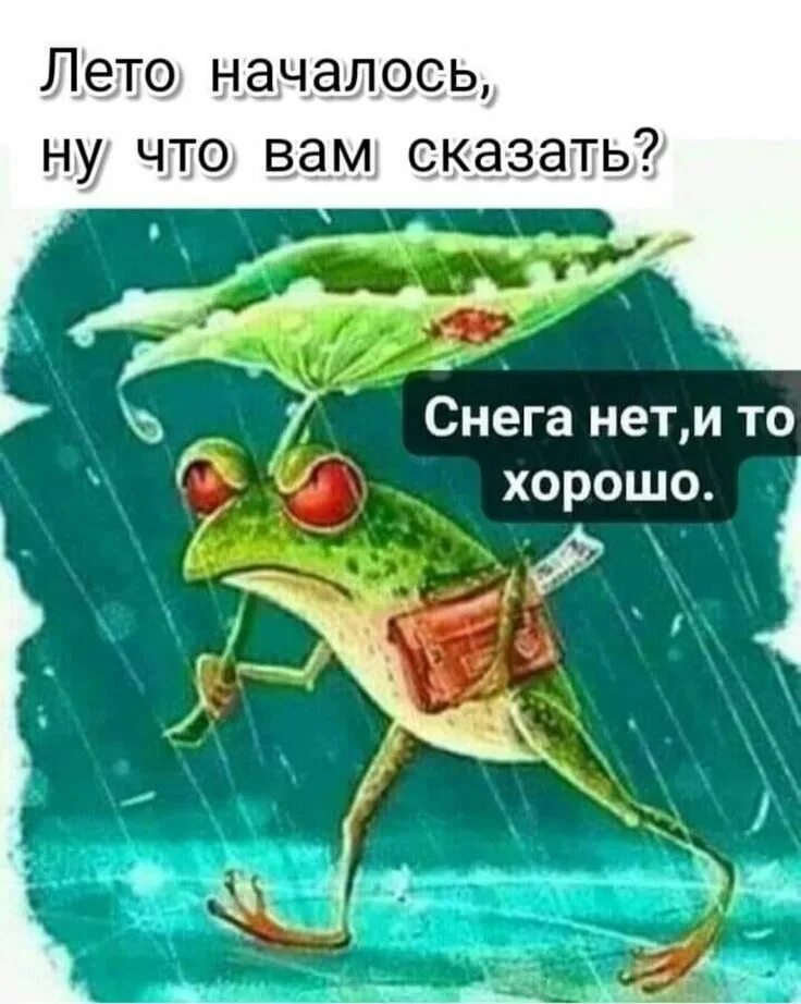 Ну что вам сказать снега нет и то хорошо. Лето началось снега нет и то хорошо. Лето закончилось. Открытки шо вам сказать снега нет и то хорошо. Лето уже кончилось сегодня пора было