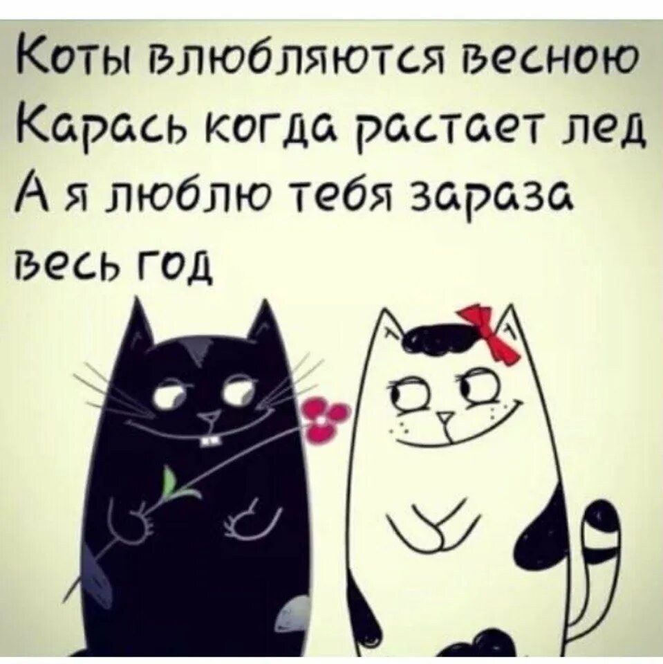 Любимый зараза. Люблю тебя зараза картинки. Любимый зараза. Любимая зараза. Любимый зараза.