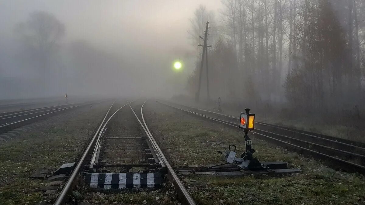 Вокзал ночью. Перрон жд вокзала платформа. Витебский вокзал перон. Всю дорогу до хутора молчали говорить мешала тряская езда. Станция жд сычевка.
