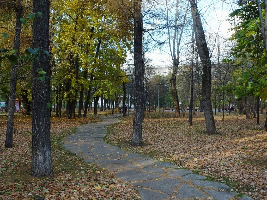 Памятники на девичьем поле. Сквер девичьего поля памятник. Сквер девичьего поля детские площадки. Деревья в сквере девичьего поля. План сквера девичьего поля.