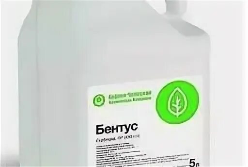 Бентус лаборатории