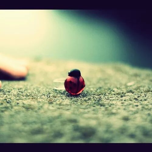 Feeling me inside. Inside feelings. Feel you inside.