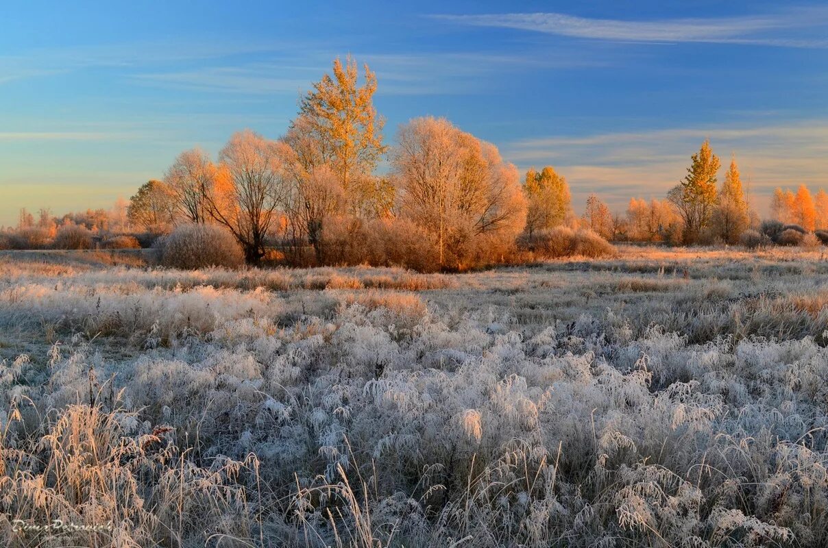 Заморозки природа. Осенние заморозки. Ранние осенние заморозки. Морозная осень.