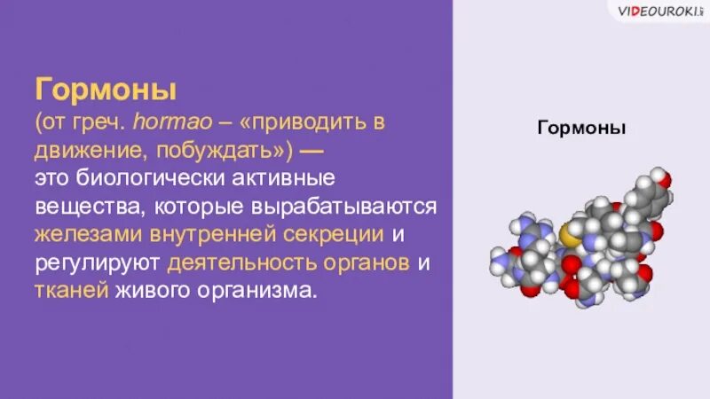 Биологически активные соединения гормоны витамины ферменты. Гормоны презентация. Гормоны химия презентация. Презентация по гормонам. Биологически активные вещества выделяемые в кровь