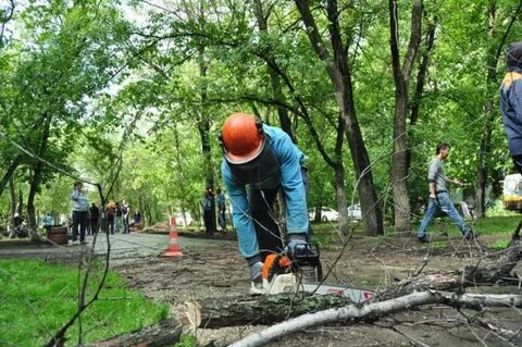 Деревам 20