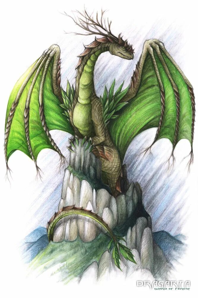 Рисунок зеленого деревянного дракона. Дракон земли. Земляной дракон. Драконы стихии земли. Травяной дракон.