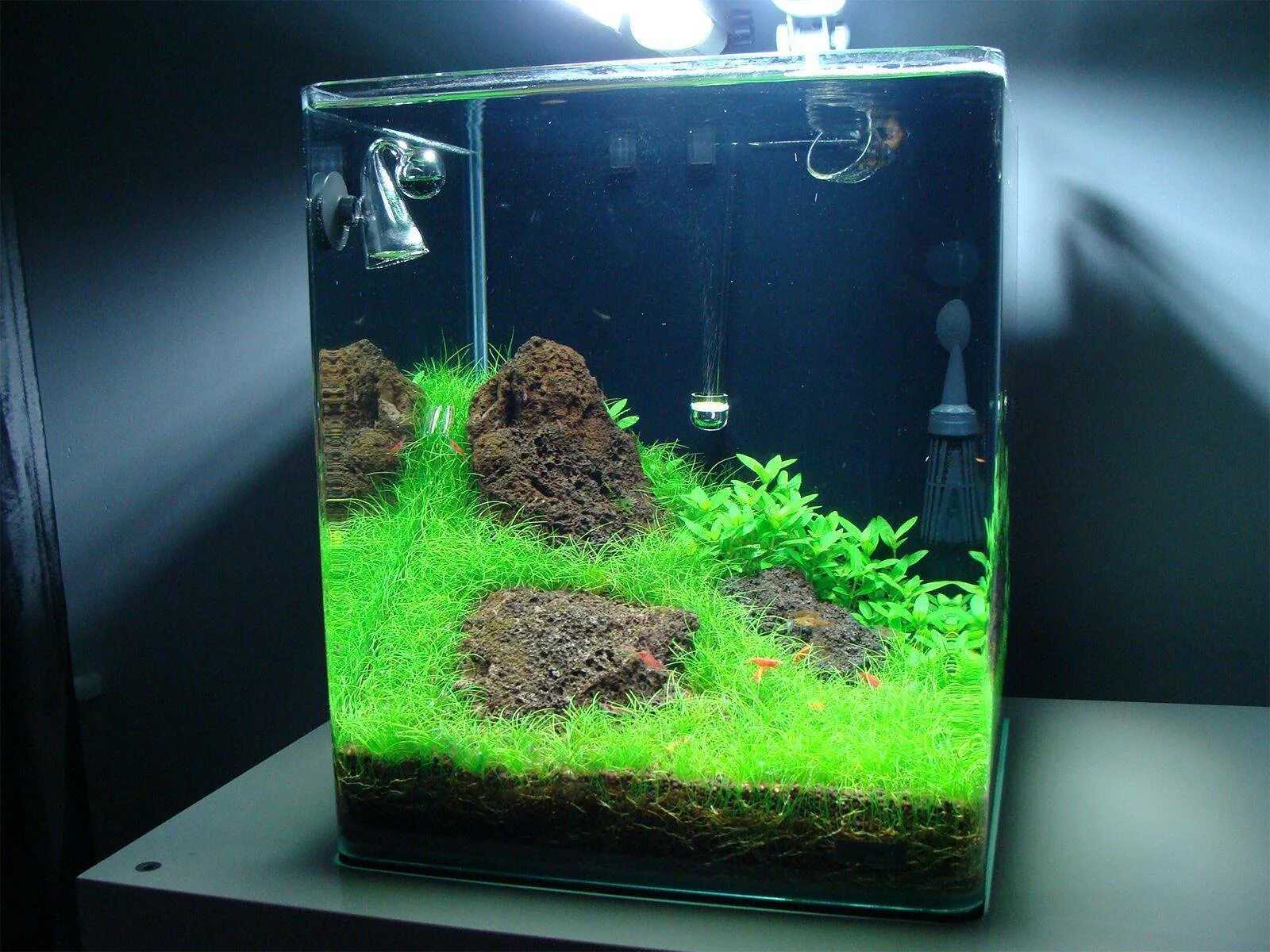 Акваскейп креветочник. Nano design. Креветочник 30л. Nano design. Нано креветочник.