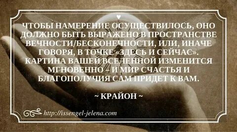 Обдуманное намерение 6